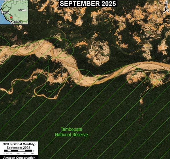TAMBOPATA 1