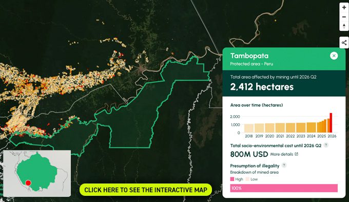tambopata